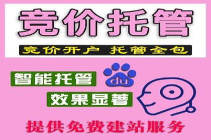 行业领先企业的百度广告推广费用揭秘